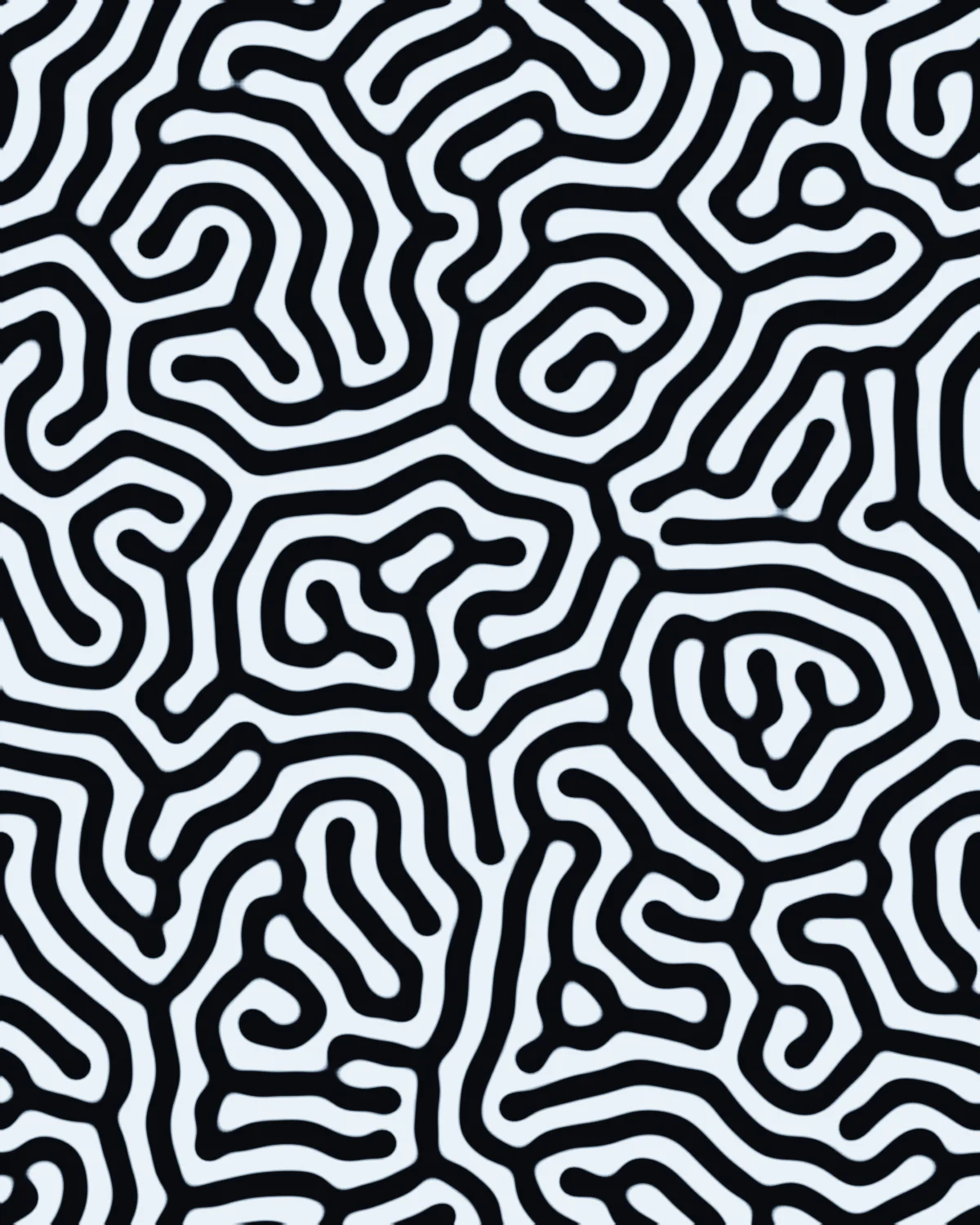 Mitosis — generative grayscott artwork