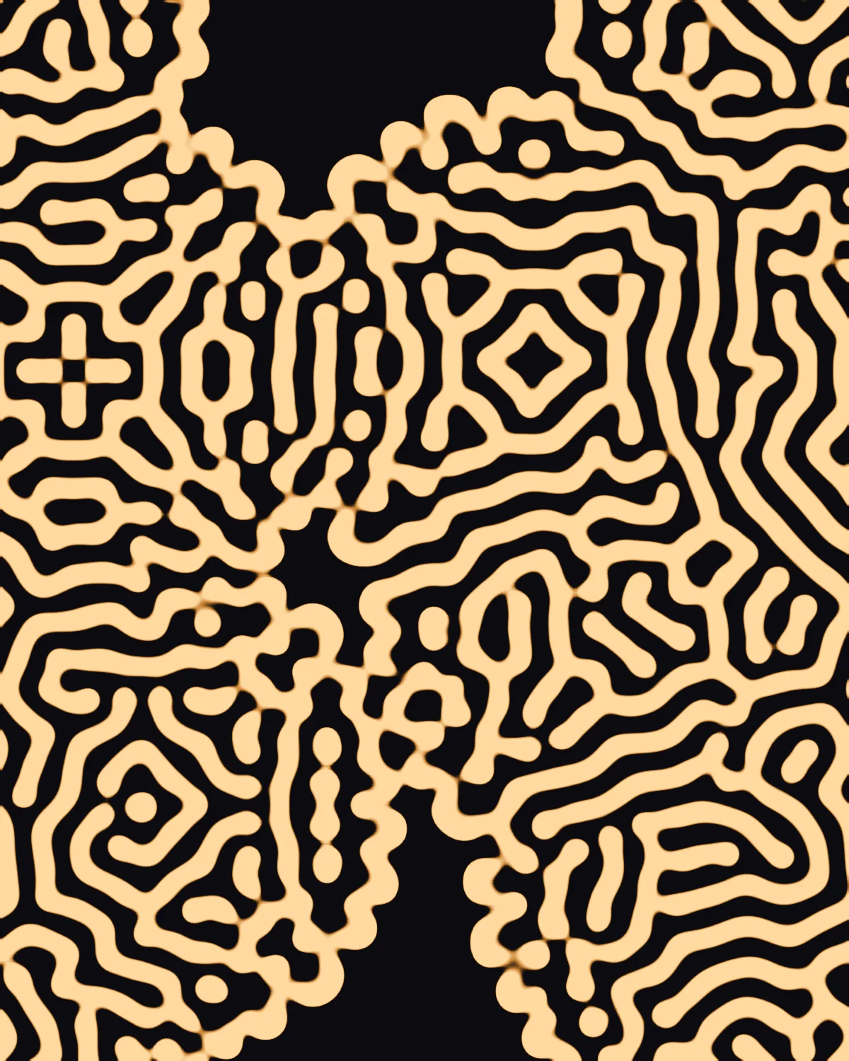Slow Equilibrium — generative grayscott artwork