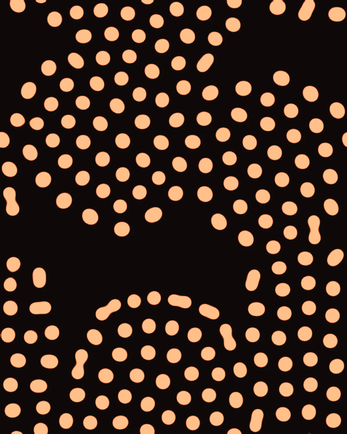 Turing Coat — generative grayscott artwork