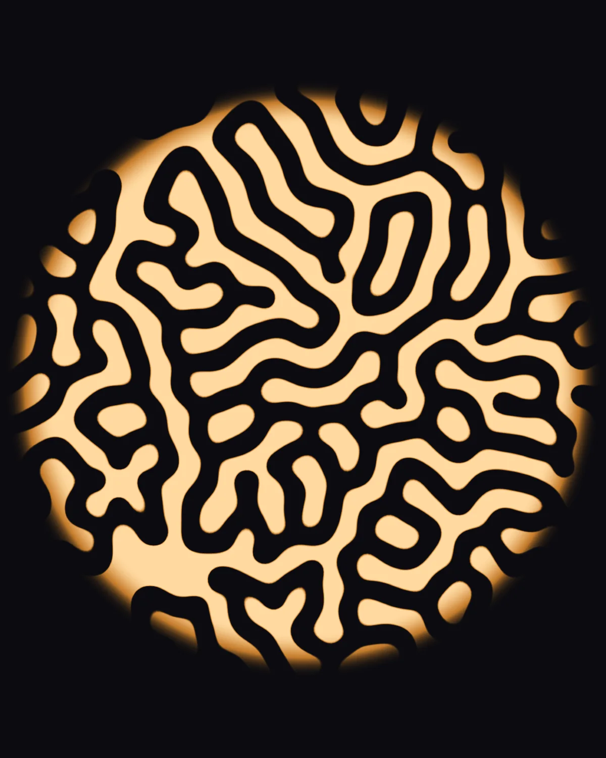 Two Chemicals Arguing III — generative grayscott artwork