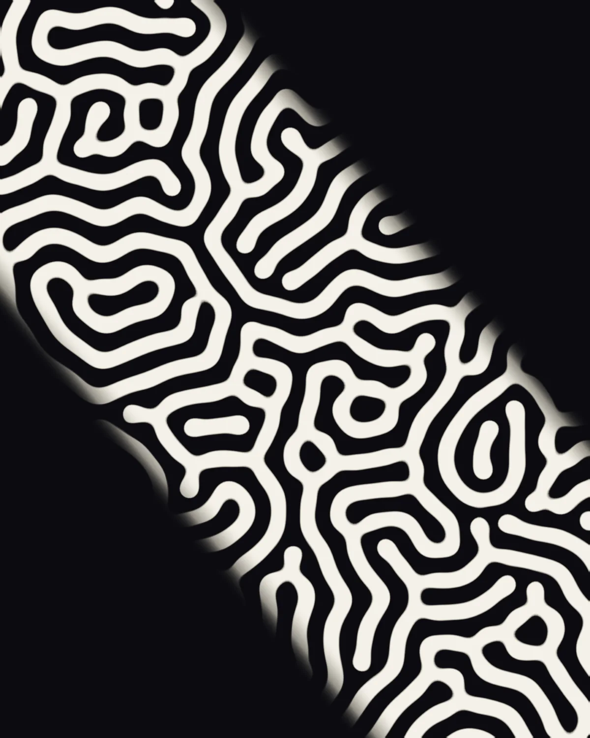 Coral Logic IV — generative grayscott artwork